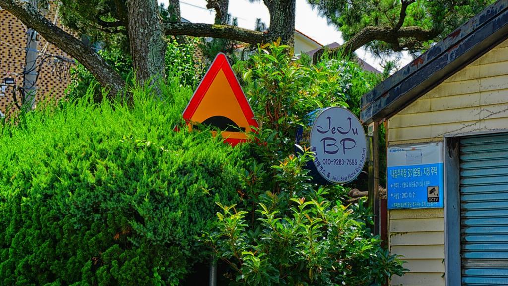 Jeju B.P. Guesthouse Eksteriør billede